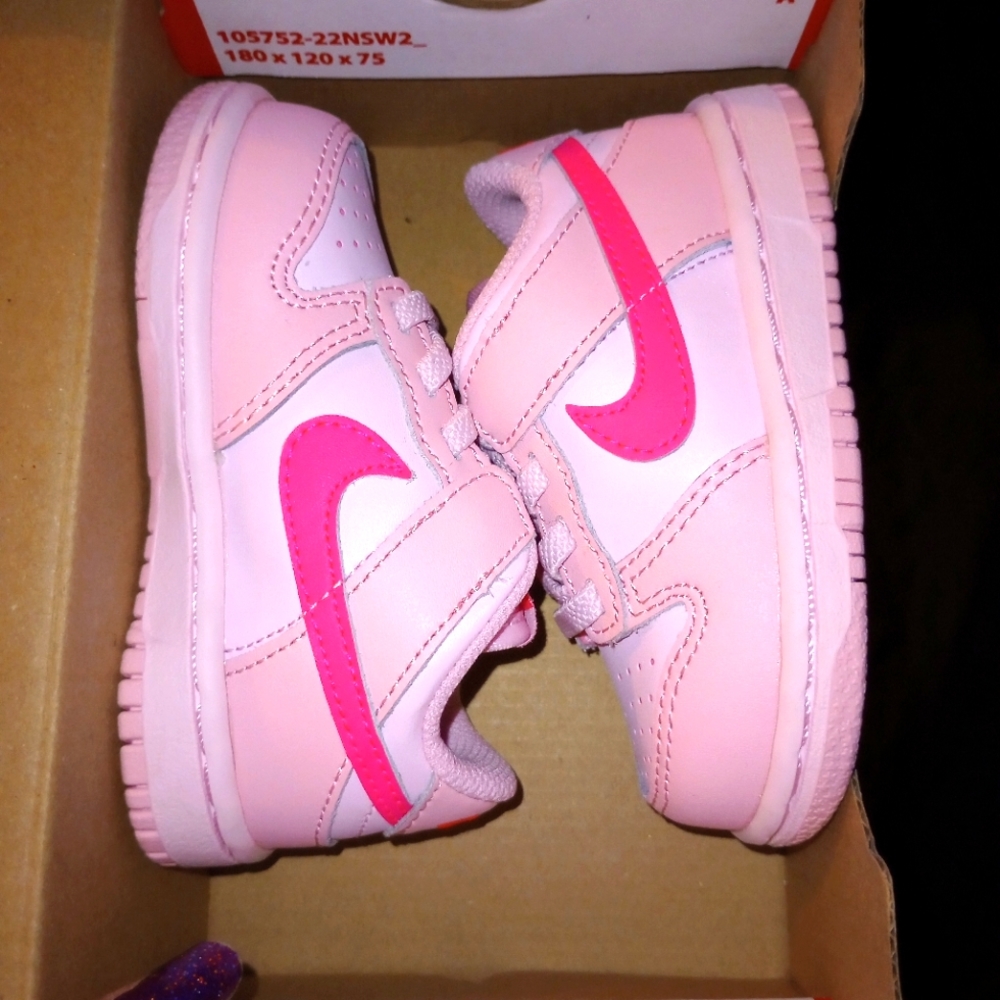 Toddler Nike Dunk Low (Tide)